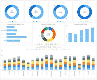 Human Resources Dashboard | Robust JavaScript/HTML5 charts | AnyChart