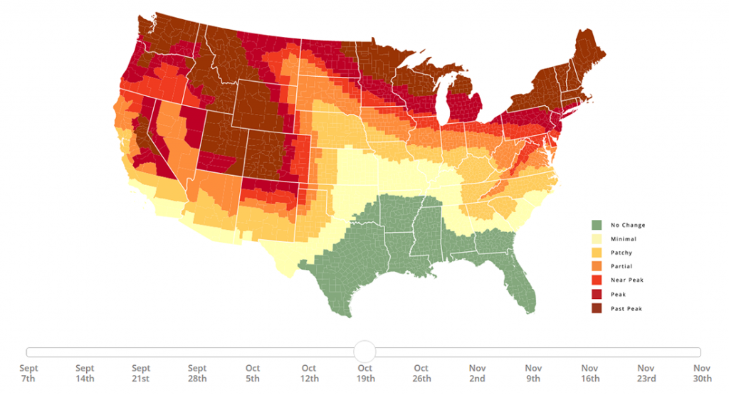 Stunning Data Visuals on Names, Slavery, Privacy, Foliage — DataViz Weekly