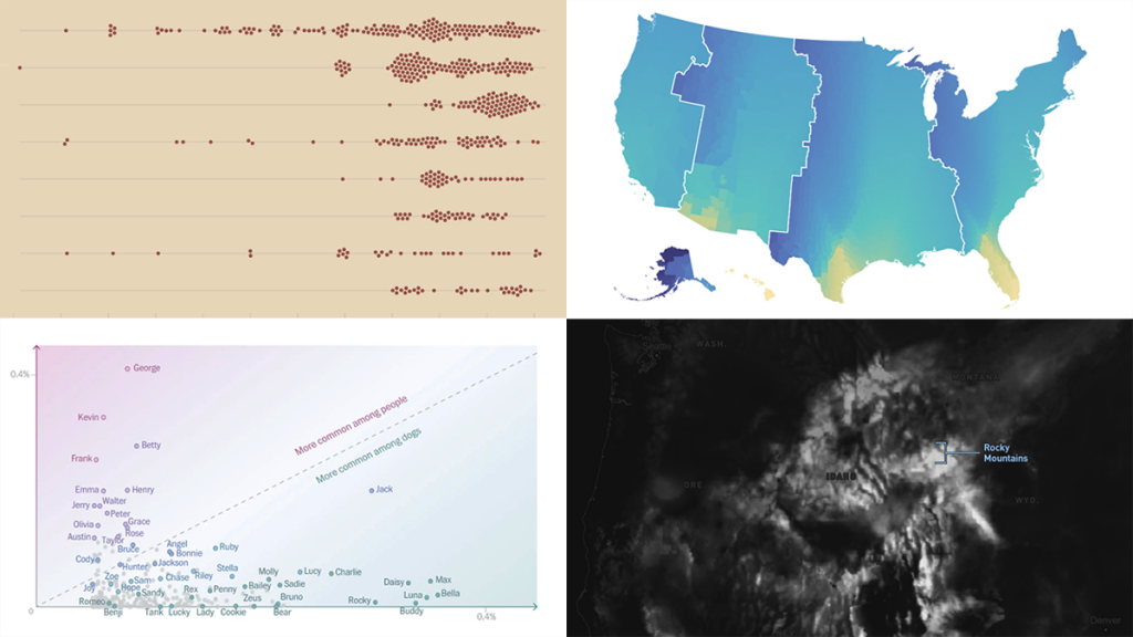 Exciting Visual Graphics That Tell Stories — DataViz Weekly | LaptrinhX ...