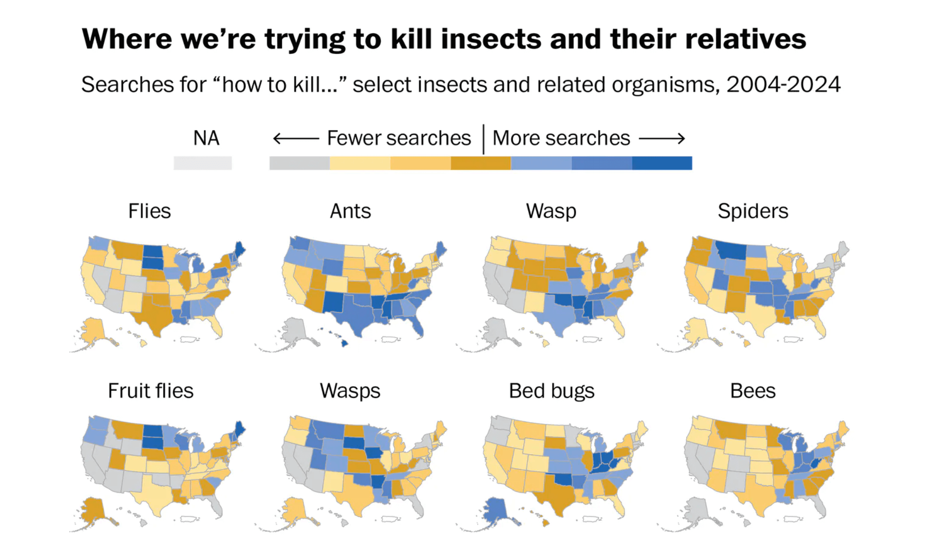 What Americans Are Searching to Kill