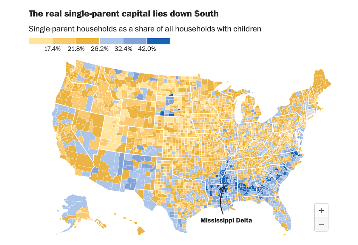 Single-Parent Families in America, in Data Visualization