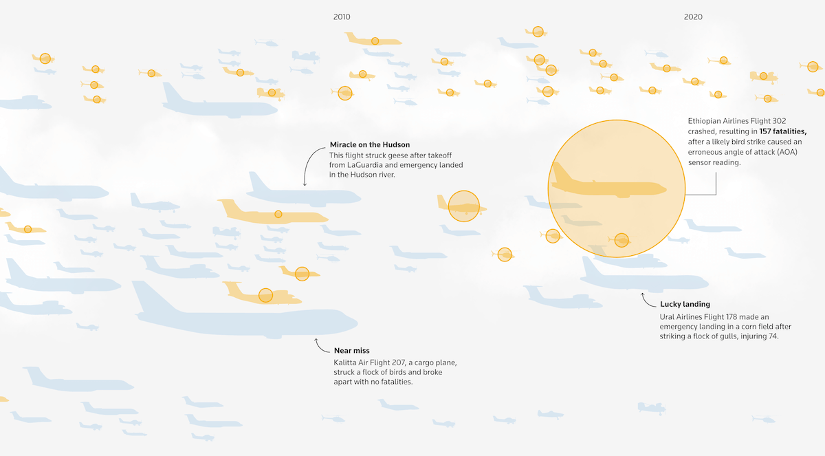 Data Visualization for Bird Strikes and Aviation Safety