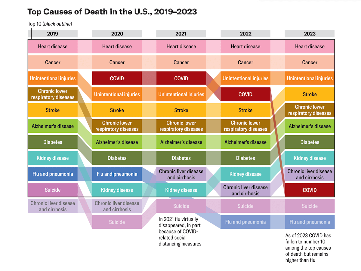 Looking Back at COVID-19 Pandemic in Reflections and Visualizations